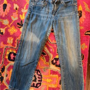 AG Adriano Goldschmied Straight Leg Blue Jeans